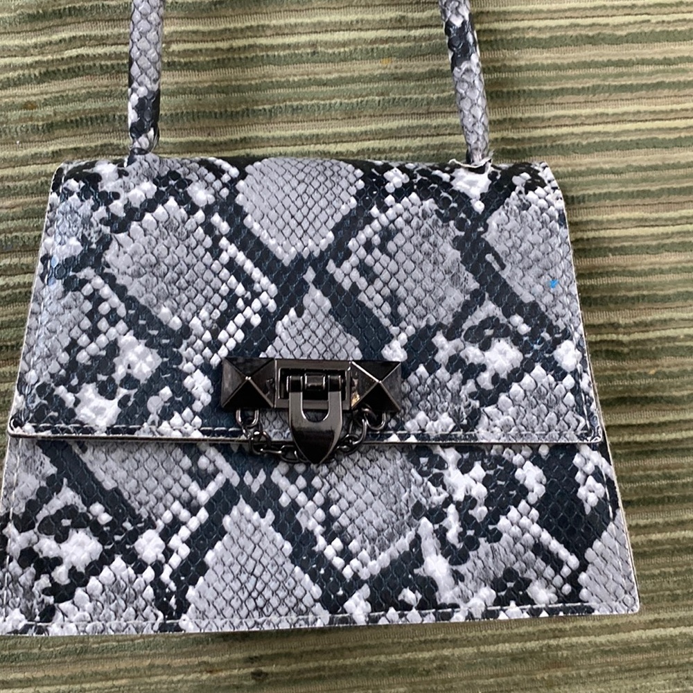 Snake skin purse